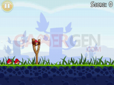 Angry bird screenshot-1320765956232