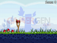 Angry bird screenshot-1322682488535