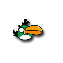 Angry bird green-bird