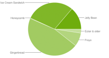 graphique-camembert-fragmentation-statistiques-android-janvier-2013